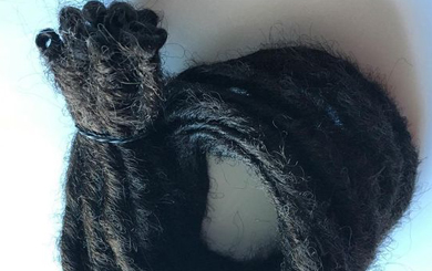 Banner Banner