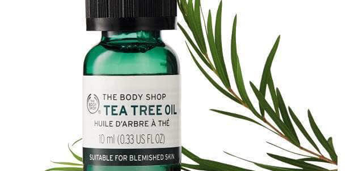 Tee Tree Oil Tee Tree Oil